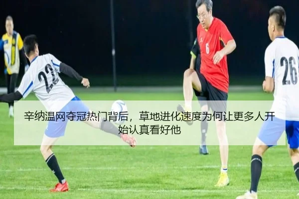 辛纳温网夺冠热门背后，草地进化速度为何让更多人开始认真看好他 - maiqiuwang